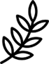 Symbol of sustainability – stylized leaf